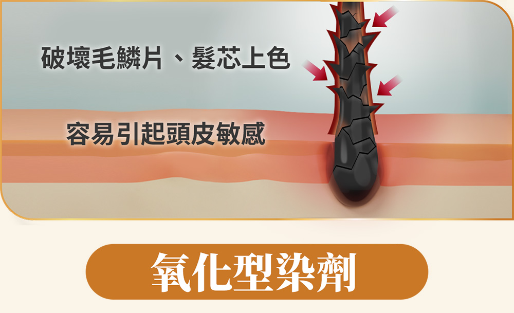 氧化型染劑